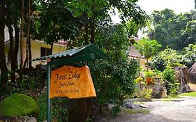 Forest Lodge